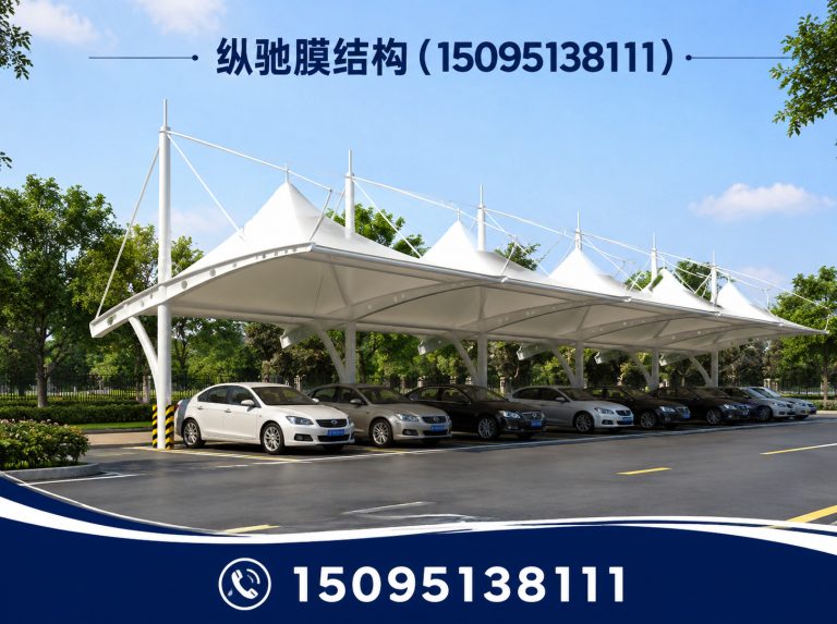 临朐县膜结构车棚展示图